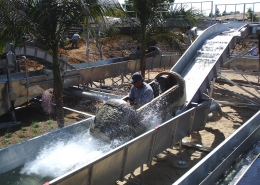 Mini flume ride